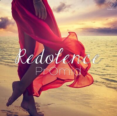 衹有一件事可以讓靈魂完整，那就是愛--関於《朗讀者》