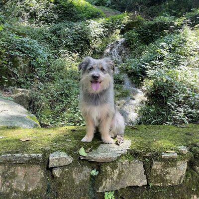  #11 二老师带你逛 B 站・像谈论一场电影一样谈论摄影（其二） 