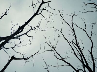 呼吁大家尽量减少使用电子产品和数据上传