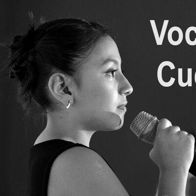 What Are Vocal Cues and Why Use Them in Your Presentations