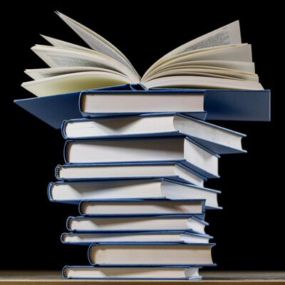 2024 年我们用哪些作品丰富了我们的文化生活？爱否年终文娱分享