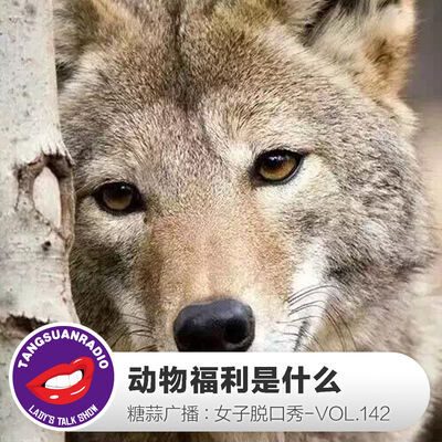 糖蒜女子脱口秀VOL.142：动物福利是什么