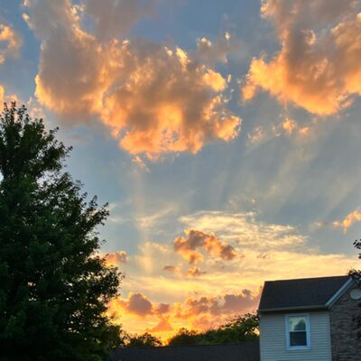 ASMR ~ {summer ramble} ☀️🍉