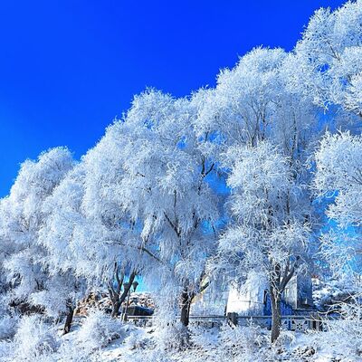 吉林 · 吉林市雾凇