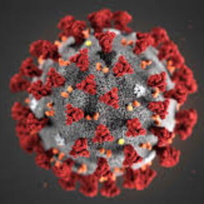 Episodio 61. ¿Qué podemos hacer contra el Coronavirus?
