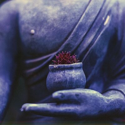 Meditazione sul perdono