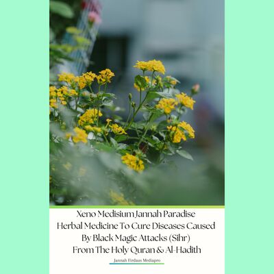 Xeno Medisium Jannah Paradise Herbal Medicine To Cure Diseases Caused By Black Magic Attacks (Sihr) From The Holy Quran & Al-Hadith Podcast Edition