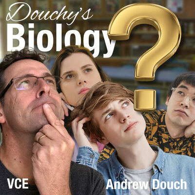 Episode 10: Immunity Q&A