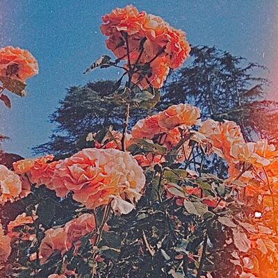 ASMR with Kate: relaxing triggers for sleep 🌱🌸