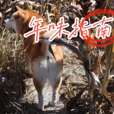 年味指南 | 石老板：年味是一家人围在一起，擀皮的擀皮，炸的炸