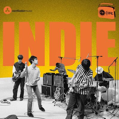 Gèneres regenerats #8. Indie