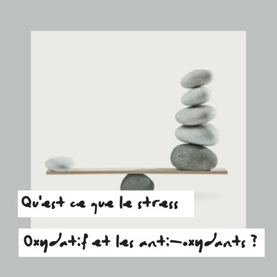 (016) Qu'est-ce que le stress oxydatif et les anti-oxydants ? 