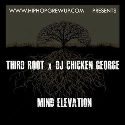 Third Root x DJ Chicken George - Mind Elevation