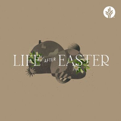 208. Life After Easter | Discover the Word Podcast