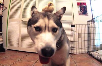 310 今夜，我不过节，我只关心人类