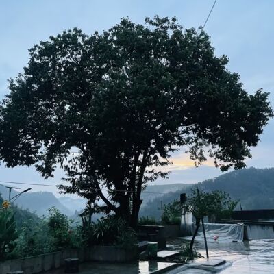 挣录第039期-这个破班儿我是一天也不想上了！