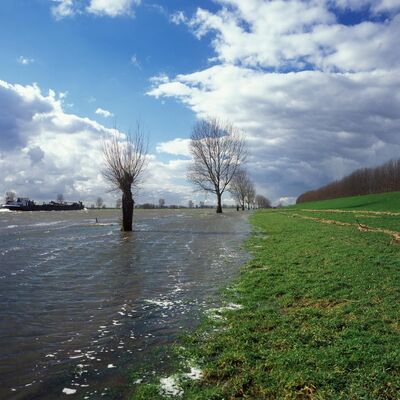 #39 Waar laten we het water?