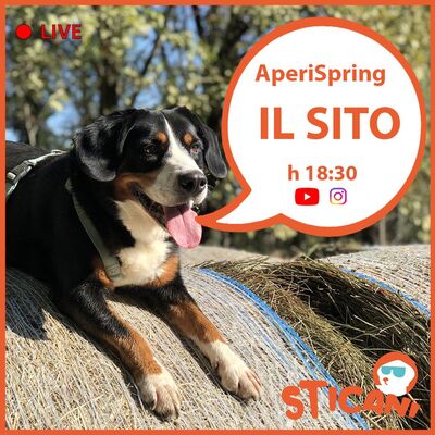 #03 AperiSpring LIVE- Il Sito