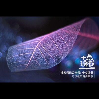 主播鹿小姐：婚姻真的没那么可怕－十二