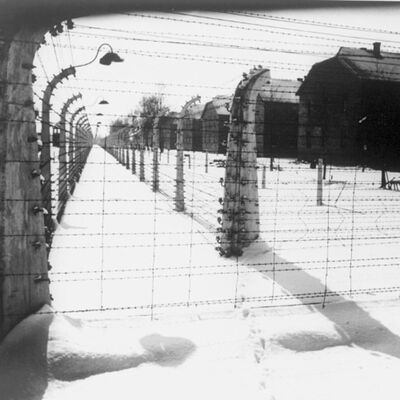 Eighty years on: honouring memory, upholding humanity