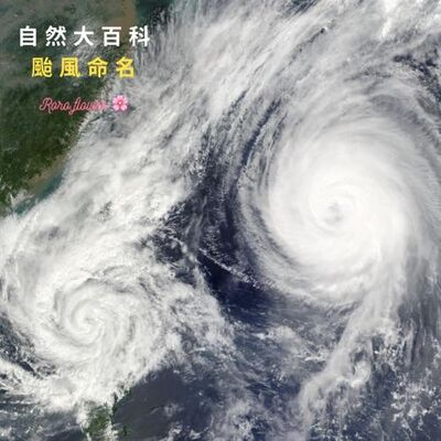 自然大百科：颱風名字都是誰取的？