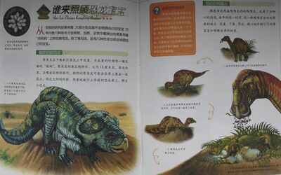 恐龙大揭秘_3谁来照顾恐龙宝宝
