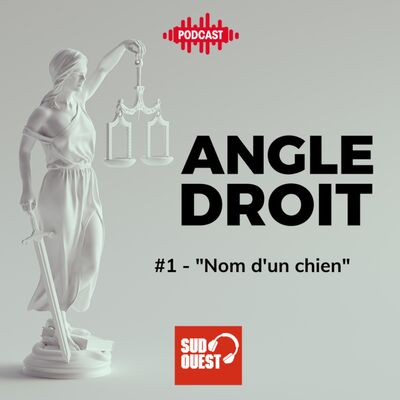Nom d'un chien
