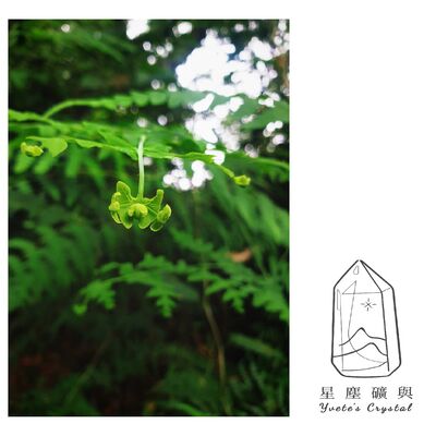 E12 祈禱文｜當下