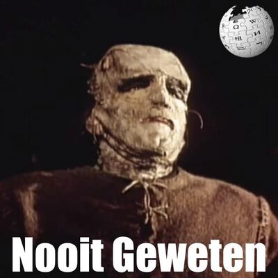 #90 Het jaar zonder zomer: Frankenstein