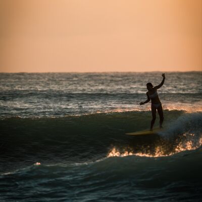 EP 31 蜂女孩Rachel的訪談，聊聊如何當一個蜂農 ,以及衝浪生活的許多討論