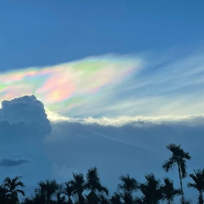 08. 我们为什么需要戏剧 阿那亚戏剧节与戏剧新生活