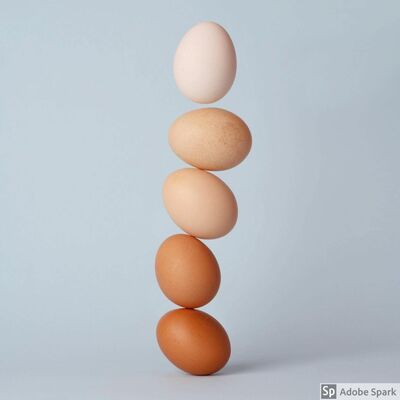 #08 跳蛋領進門 鹹濕在個人