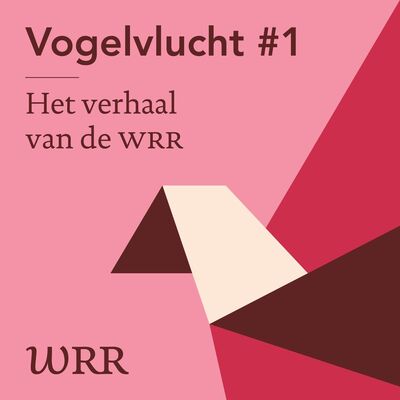 Vogelvlucht #1: Het verhaal van de WRR