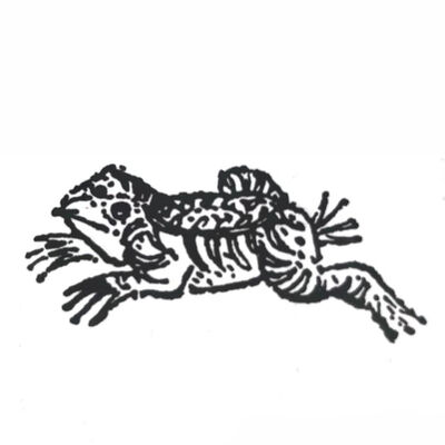 5-6-② 中山经：白石山、谷山、密山、长石山、傅山、橐山