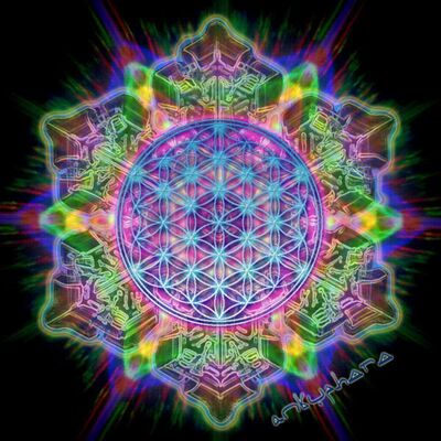 Shell of light (Organic Astral Bass mix)