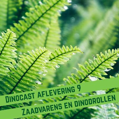 Zaadvarens en dinodrollen