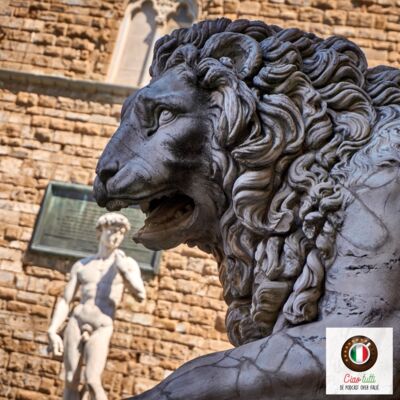 Op safari in Florence - op zoek naar de dieren in de stad