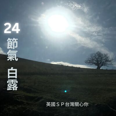 24 節氣與精油 白露