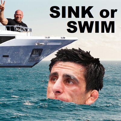 567 - Sink or Swim