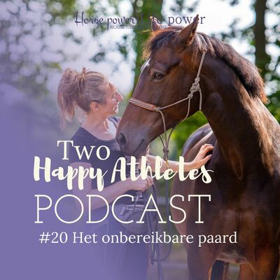 #20 Het onbereikbare paard