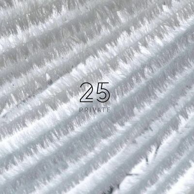 DR.SPY.DER | CHILD SUNDAY | PRIVATE 25