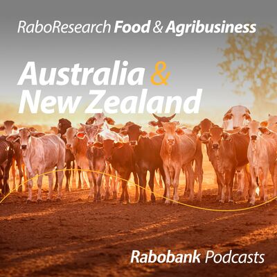 Following the Brahman trail through the Northern Territory – an update on the northern cattle industry