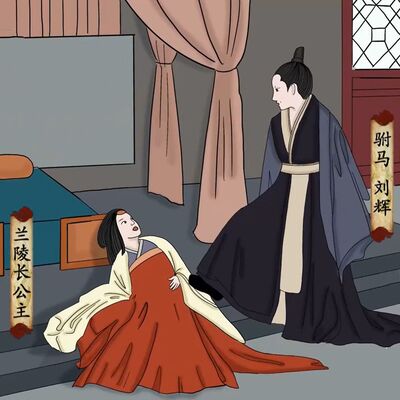 北魏兰陵长公主被家暴流产致死，驸马该如何判决引发激烈争论