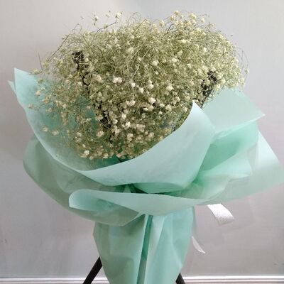 汇明赏析蒙田的《热爱生命》——要使短暂的生命过得丰盈充实