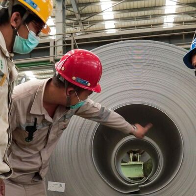 Wayne Palmer - Foreign Workers