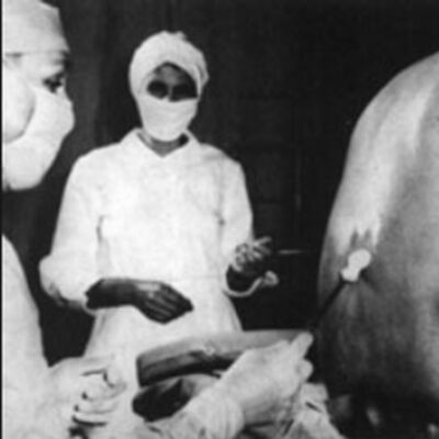 11. La sífilis: la epidemia que vino de América