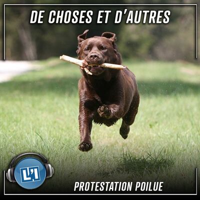 Protestation poilue - S04E150