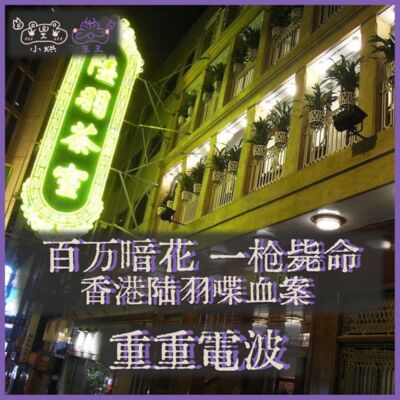 E39.百万暗花 一枪毙命：香港陆羽喋血案