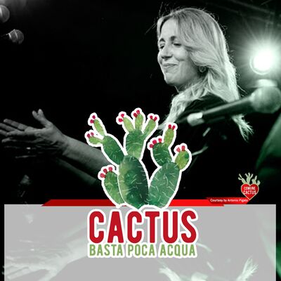 Cactus #23 - Il viaggio della voce - 04/03/2021