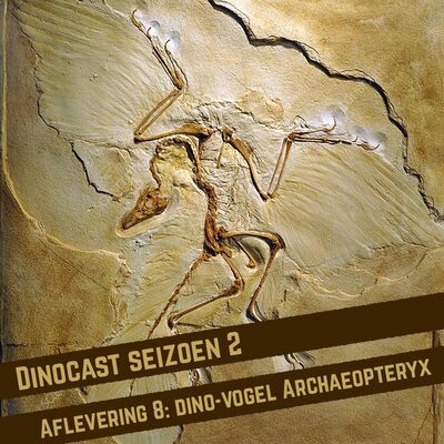 De dino-vogel Archaeopteryx